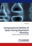 Computational Models of Spike-Timing Dependent Plasticity: