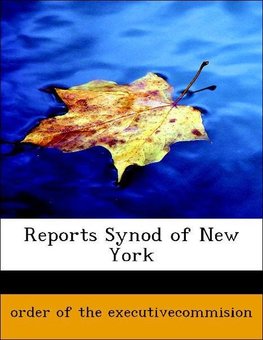 Reports Synod of New York
