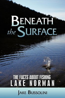 Beneath the Surface