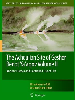 The Acheulian Site of Gesher Benot Ya'aqov Volume II