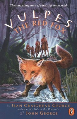 Vulpes, the Red Fox