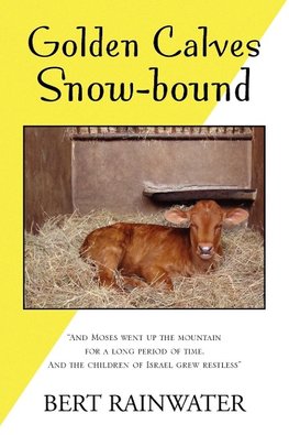 Golden Calves Snow-Bound