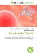 Reproductive System