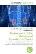 Development of the Urinary and Reproductive Organs