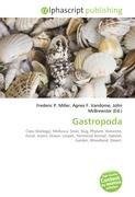 Gastropoda