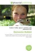 Domestic Rabbit