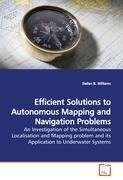 Efficient Solutions to Autonomous Mapping and Navigation Problems