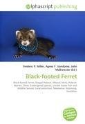 Black-footed Ferret