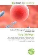 Egg (Biology)