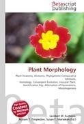 Plant Morphology