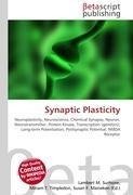 Synaptic Plasticity