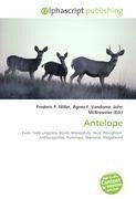 Antelope