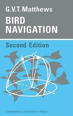 Bird Navigation