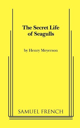 The Secret Life of Seagulls