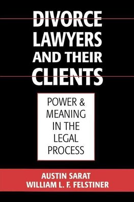 Divorce Lawyers and Their Clients