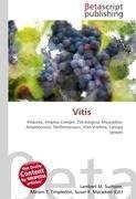 Vitis      