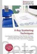 X-Ray Scattering Techniques