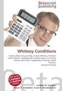 Whitney Conditions