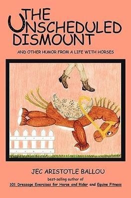 The Unscheduled Dismount