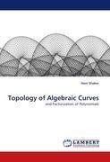Topology of Algebraic Curves