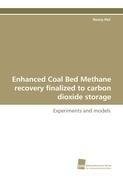 Enhanced Coal Bed Methane recovery finalized to carbon dioxide storage