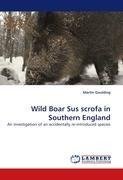 Wild Boar Sus scrofa in Southern England