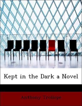 Kept in the Dark a Novel
