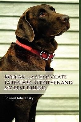 Kodiak ... A Chocolate Labrador Retriever and my best friend