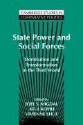 State Power and Social Forces