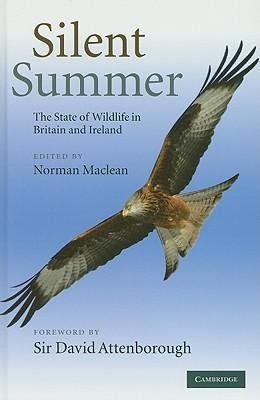 Silent Summer