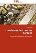 L''endoscopie chez les tortues