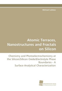 Atomic Terraces, Nanostructures and Fractals on Silicon
