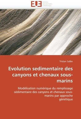 Evolution sedimentaire des canyons et chenaux sous-marins