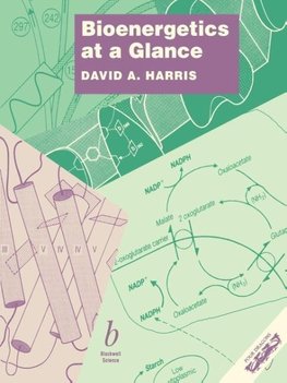 Bioenergetics at a Glance