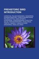 Prehistoric bird Introduction
