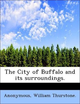 The City of Buffalo and its surroundings.