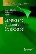 Genetics and Genomics of the Brassicaceae