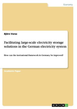 Facilitating large-scale electricity storage solutions in the German electricity system