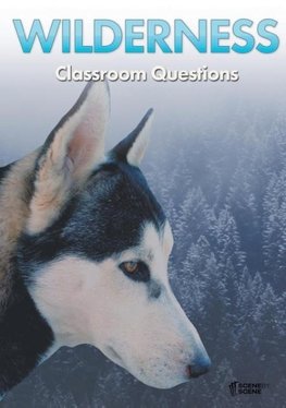 Wilderness Classroom Questions