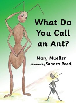 What Do You Call an Ant?