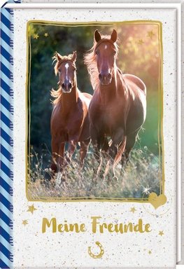Freundebuch - Pferdefreunde - Meine Freunde. Galoppierende Pferde