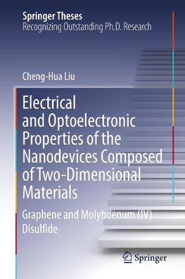 Electrical and Optoelectronic Properties of the Nanodevices Composed of Two-Dimensional Materials