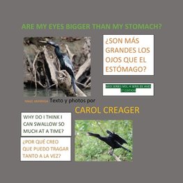 Are My Eyes Bigger than My Stomach