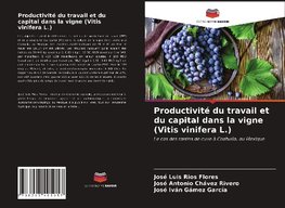 Productivité du travail et du capital dans la vigne (Vitis vinifera L.)
