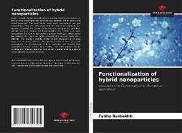 Functionalization of hybrid nanoparticles