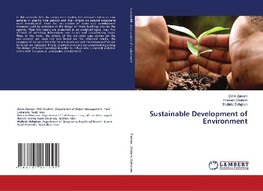 Sustainable Development of Environment