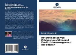 Determinanten von Zahlungsausfällen und Kreditrisikomanagement der Banken