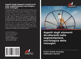 Aspetti degli elementi strutturanti nella segmentazione morfologica delle immagini