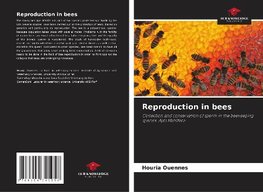 Reproduction in bees