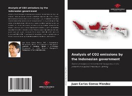 Analysis of CO2 emissions by the Indonesian government